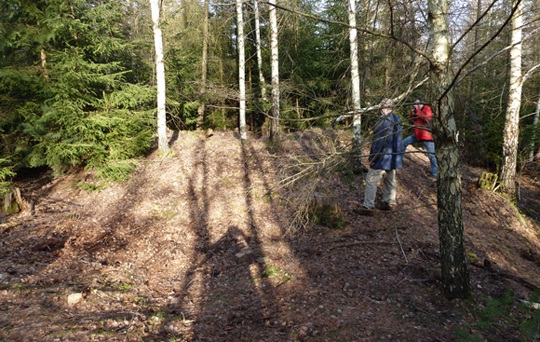 Hügelgrab in den Brunnthaler Köpfe bei Vielbrunn (Foto: N. Allmann)